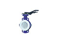 Wafer Lined Lever Operated Butterfly Valves